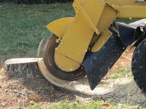 Tree stump Removal